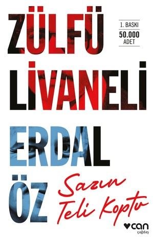 livnet: The String Broke / Sazın Teli Koptu (cover)